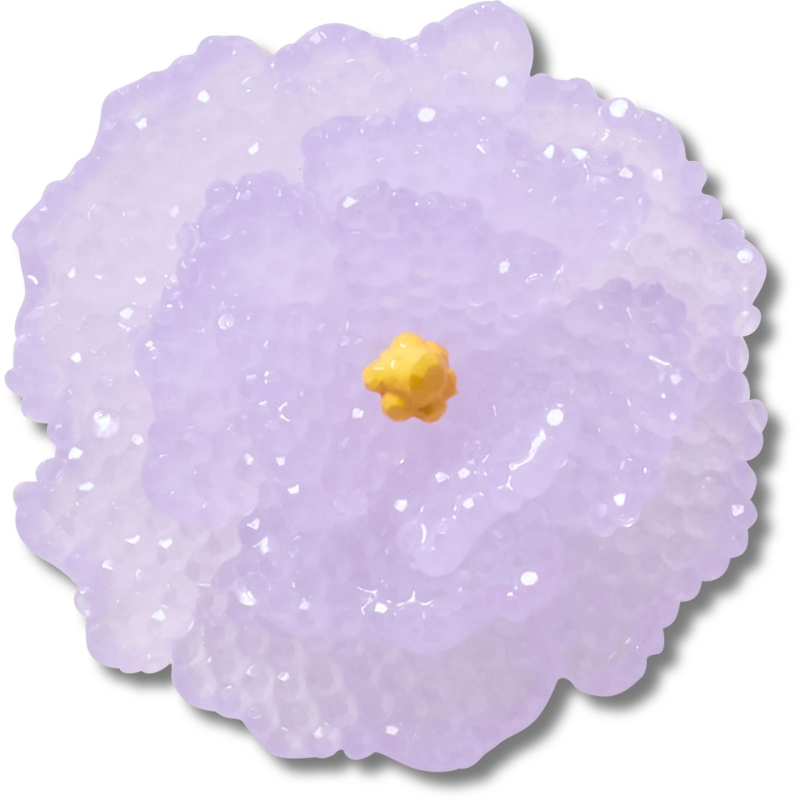 Crocs_Jibbitz_Charm_Beaded_Purple_Bouquet_Front_10018449.png