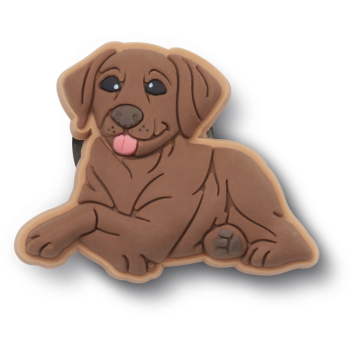 Crocs™ Jibbitz™ Brown Lab Puppy