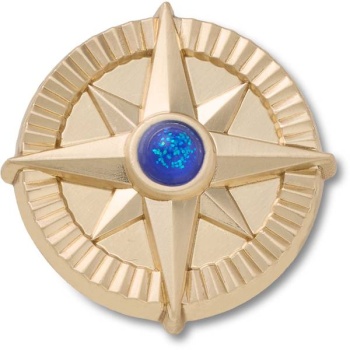 Crocs™ Jibbitz™ Gold Star Navy Gem
