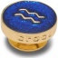Crocs_Jibbitz_Charm_Sodiac_Golden_Aquarius_Pin_10018465.jpg