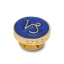 Crocs_Jibbitz_Charm_Sodiac_Golden_Capricorn_Pin_10018474.webp